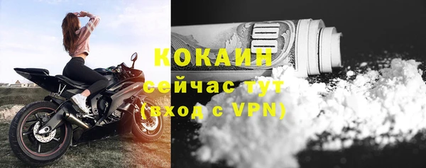 spice Алзамай
