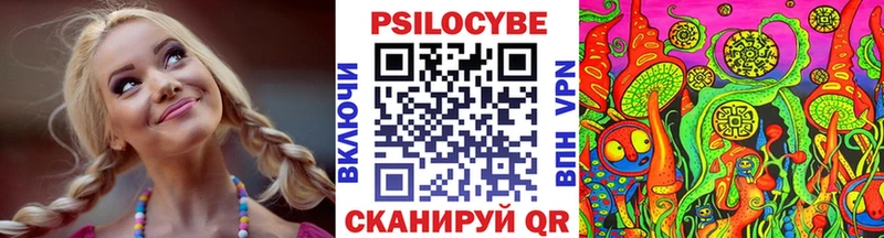 Псилоцибиновые грибы Psilocybe  цены   Ставрополь 