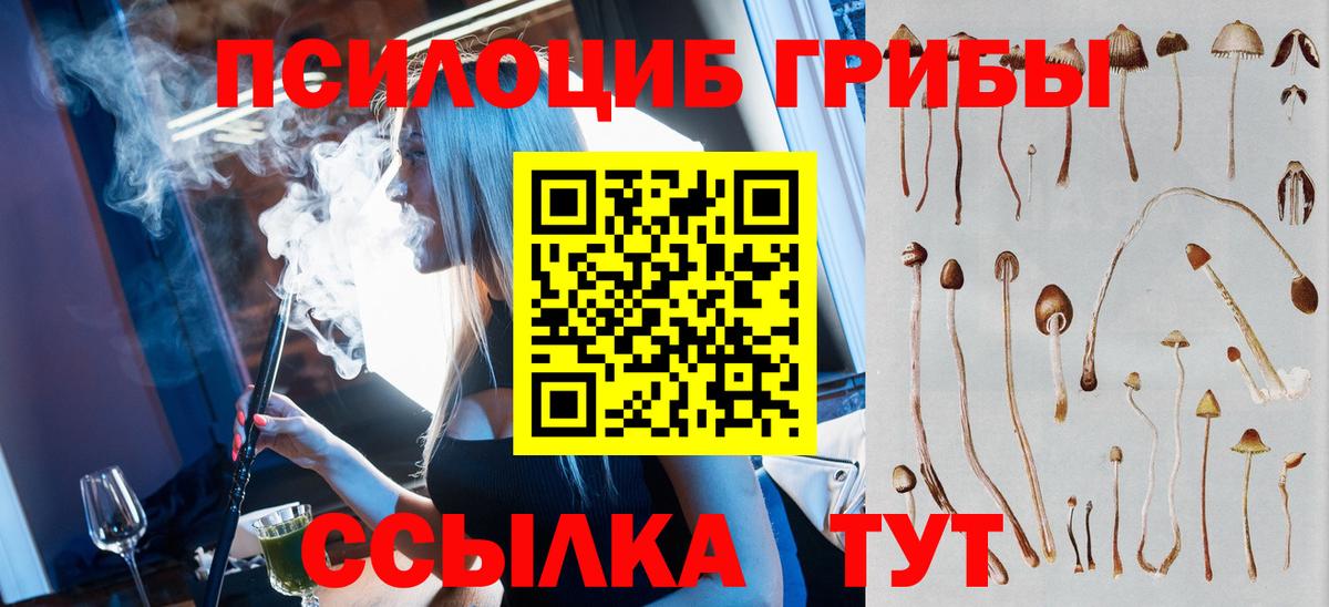 Псилоцибиновые грибы Cubensis  Вход с VPN  Галлюциногенные грибы Cubensis  Ставрополь 