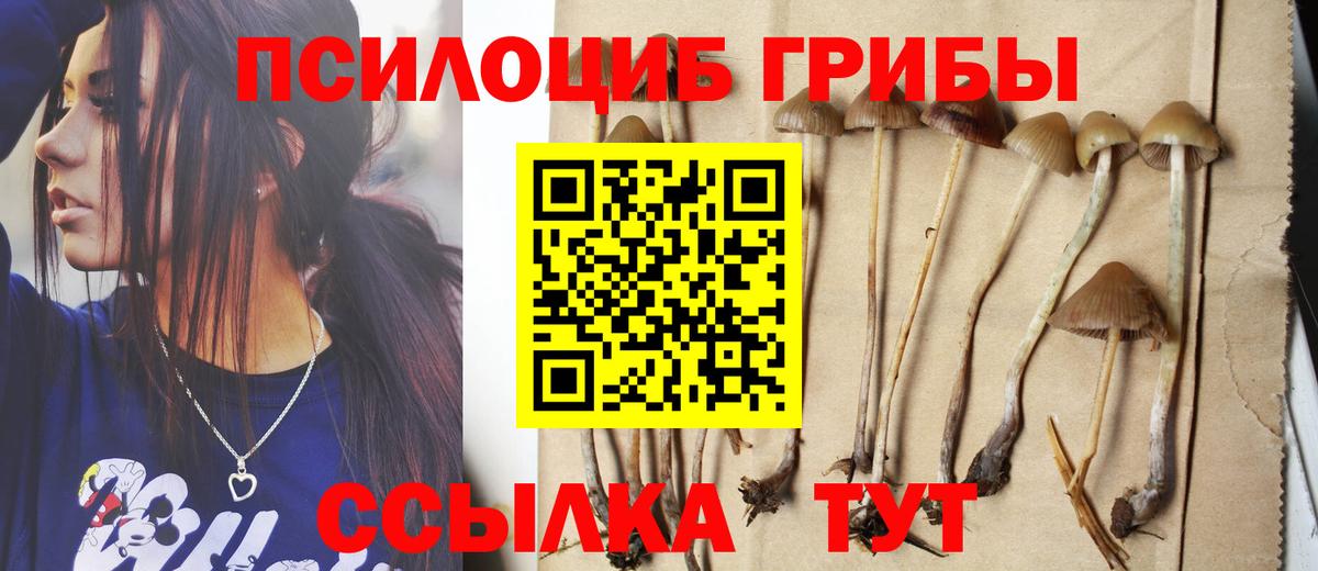 Псилоцибиновые грибы Magic Shrooms Ставрополь